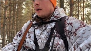 Охота на зайца с гончими 2025