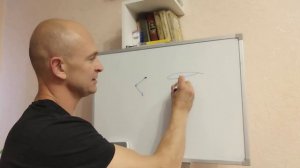 Как работает крыло птицы. Краткий разбор