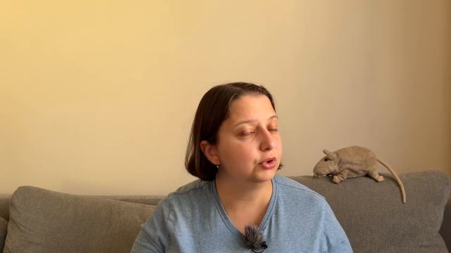 Грандорф против Royal Canin: я правда не ожидала такого сра?