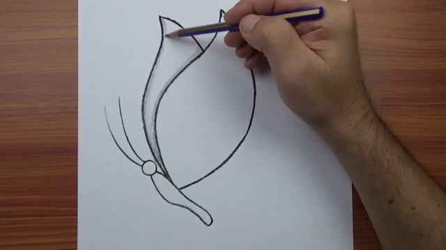 Очень лёгкий рисунок бабочки: как нарисовать бабочку — простые обучающие рисунки карандашом смотреть онлайн