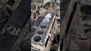 Установка гильзы DAF-95