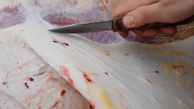 Якутский нож от Бырдыка смотреть онлайн