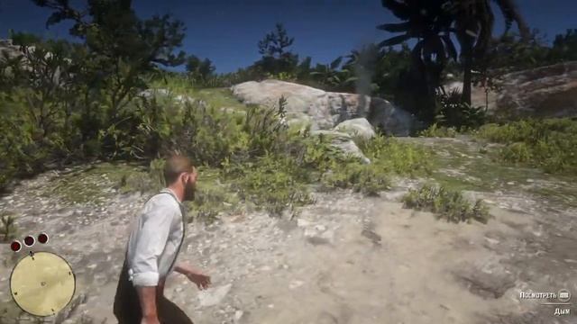 ОСТРОВ - Red Dead Redemption 2 #29