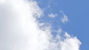 бакинские голуби