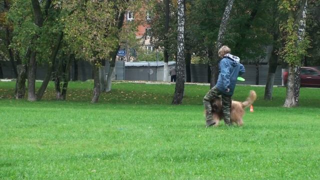 Соколовская Алина бриар Юникс