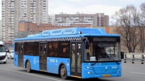 Информатор автобуса №114. Метро Войковская - Коровинск?