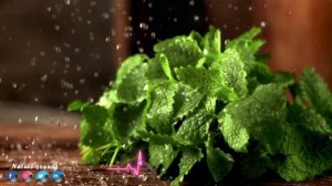 Вальс дождя! МУЗЫКА захватывает душу с первых секунд! ?