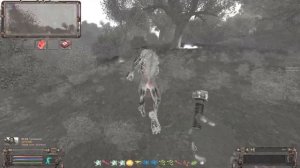 S.T.A.L.K.E.R  ОП-2.2  Забытый Лес Нож Акила