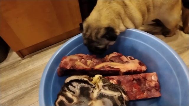 малыш и тазик смотреть онлайн