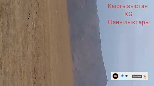 РАЗЗАКОВ ШАРЫ "БОЗОГУЛ СИТИ МАХАЛАСИ " смотреть онлайн