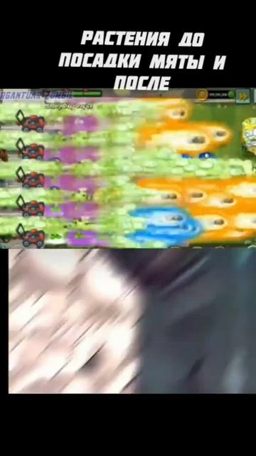 растения с мятой #pvz #мем #пвз #edit #memes #jojo #гигачад #zxcursed #? смотреть онлайн