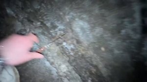 Прода из  телеграмма Декстер. БОГАТЫЕ ШКОЛЬНИКИ УНИЖА?