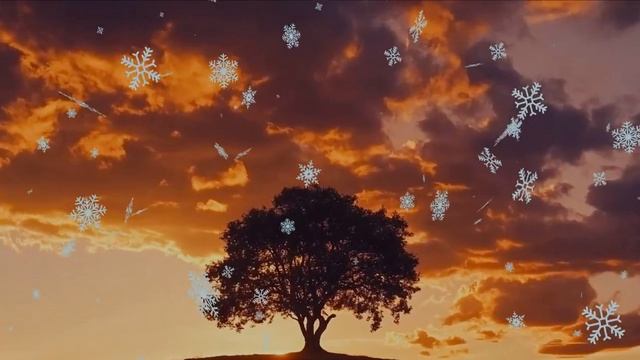 Вивальди- Танго Смерти смотреть онлайн