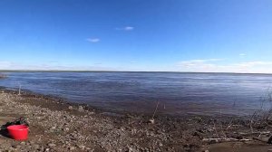 Рыбалка на реке весной. Первый сиг на донки. 27.05.2020