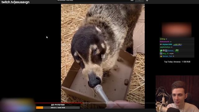 ХЕСУС СМОТРИТ МЕМЫ: UNUSUAL MEMES COMPILATION V138 смотреть онлайн