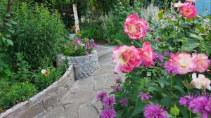 Красивый ЦВЕТНИК из МНОГОЛЕТНИКОВ  САД цветущий все лето.