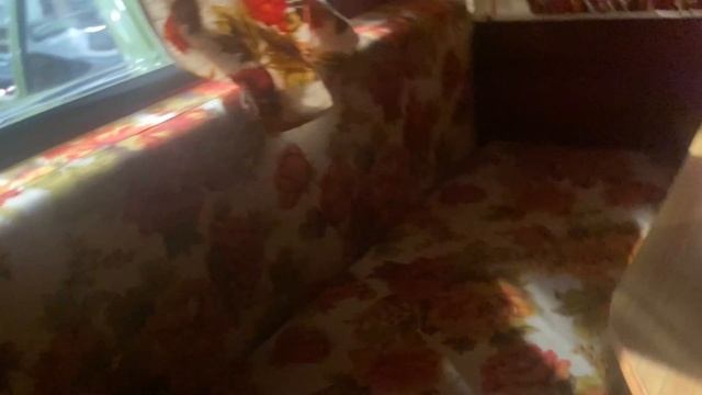 Музей старинных машин ￼￼￼￼ смотреть онлайн