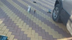 Установка пластмассовых порогов  на Ниву шевроле быст