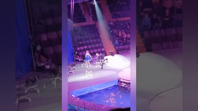 Мы с детьми в Запорожском цирке. Цирк на воде 🤹♂️часть 12