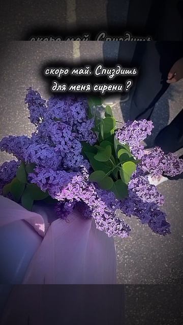 да сирень и пионы самые любимые цветы 🌸 #хочуврек #kpop # смотреть онлайн
