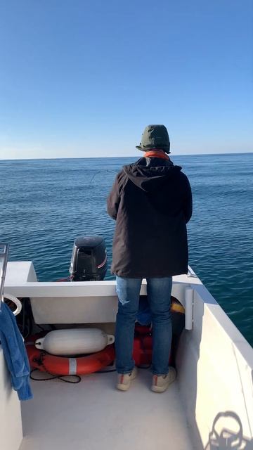 Опять дракон. Рыбалка в Сочи. #fishing #рыболовныйгид #fish #с смотреть онлайн