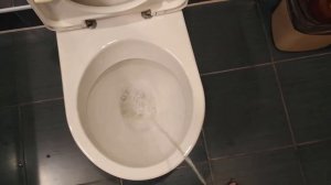 Как правильно ПОПИСАТЬ В УНИТАЗ/ Видеоинструкция