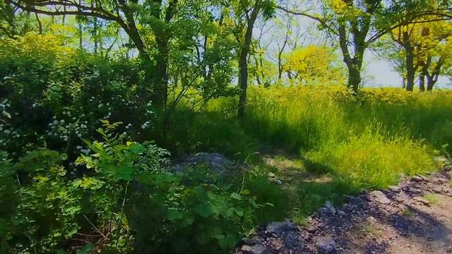 Керчь. В Приморском парке продолжается реконструкция смотреть онлайн