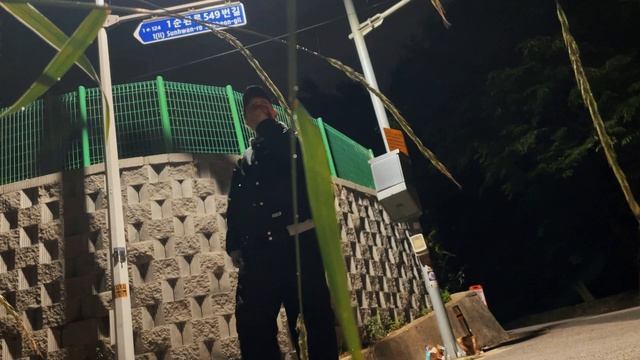 Плюсы и минусы Кореи