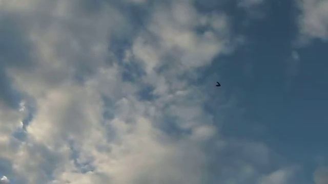 Летающее крыло "Toro 900" смотреть онлайн