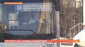 Ростовским автобусам нужны водители