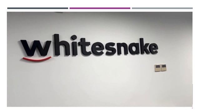 РАЗРАБОТКА И СОПРОВОЖДЕНИЕ ПРОГРАММНОГО ОБЕСПЕЧЕНИЯ