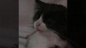 Кишлак - Болею тобой (Speed Up)