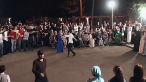 ЛОВЗАР 2025: НЕВЕРОЯТНЫЕ ЧЕЧЕНСКИЕ СВАДЬБЫ и ТАНЦЫ ЛЕЗГ?