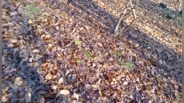 Слесарь оказался умный.Истории из жизни