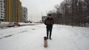 Собака игнорирует команду «Ко мне»? Исправляем шаг за ш