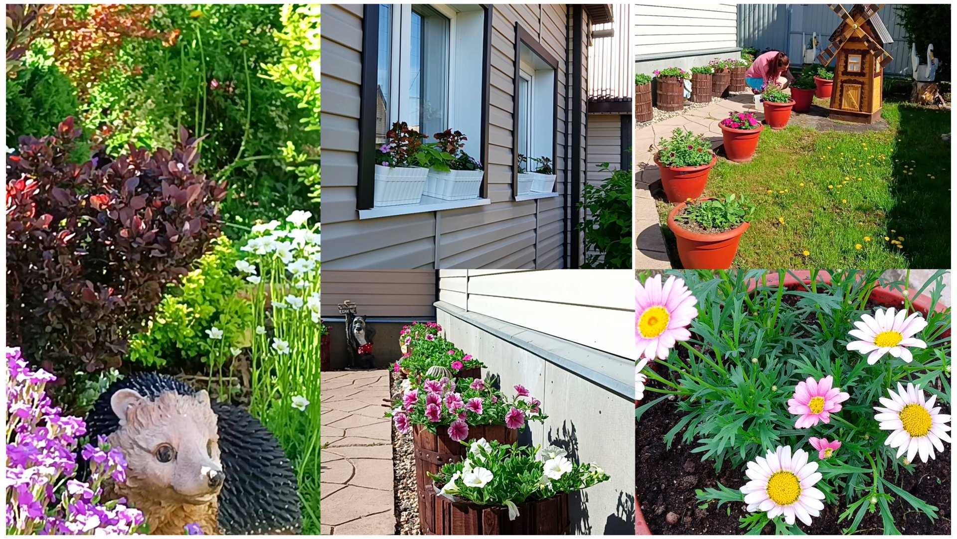 Работа с цветами продолжается. Миксы на окна. Расстановка кашпо. Погода радует теплом. смотреть онлайн