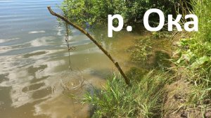 Река Ока. Ловлю на резинку, рассказываю о снасти