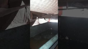 пар из глушителя,не обязательно ремонт мотора