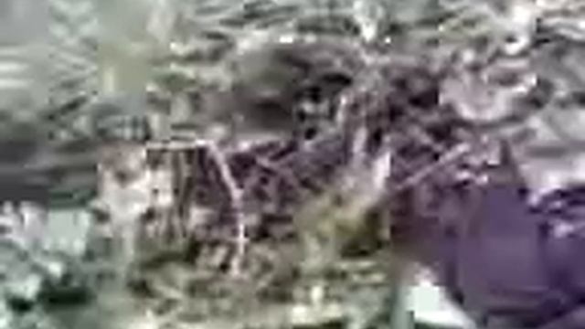 Мая настоящая любовь (шляйх) смотреть онлайн