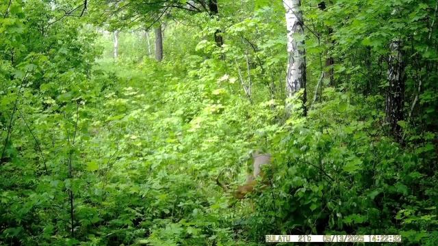 Встал не с той ноги смотреть онлайн