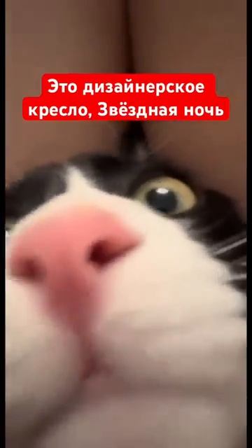 Это дизайнерское кресло, звёздная ночь называется смотреть онлайн