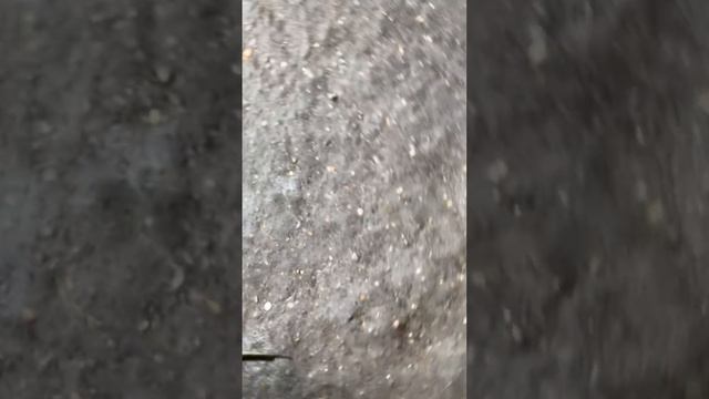 Разборка Toyota-Avensis 1 1997-2003, 2 (VIN:SB172BBN00E014232) 77817 смотреть онлайн