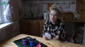 Вся правда про посев в кипяток: как это делать, чтобы получить максимум пользы - 7 дач