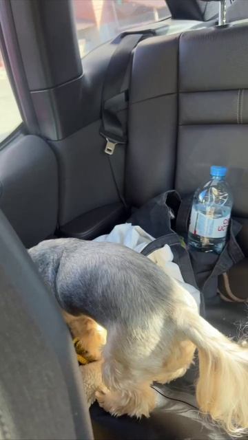 Едем на работу смотреть онлайн