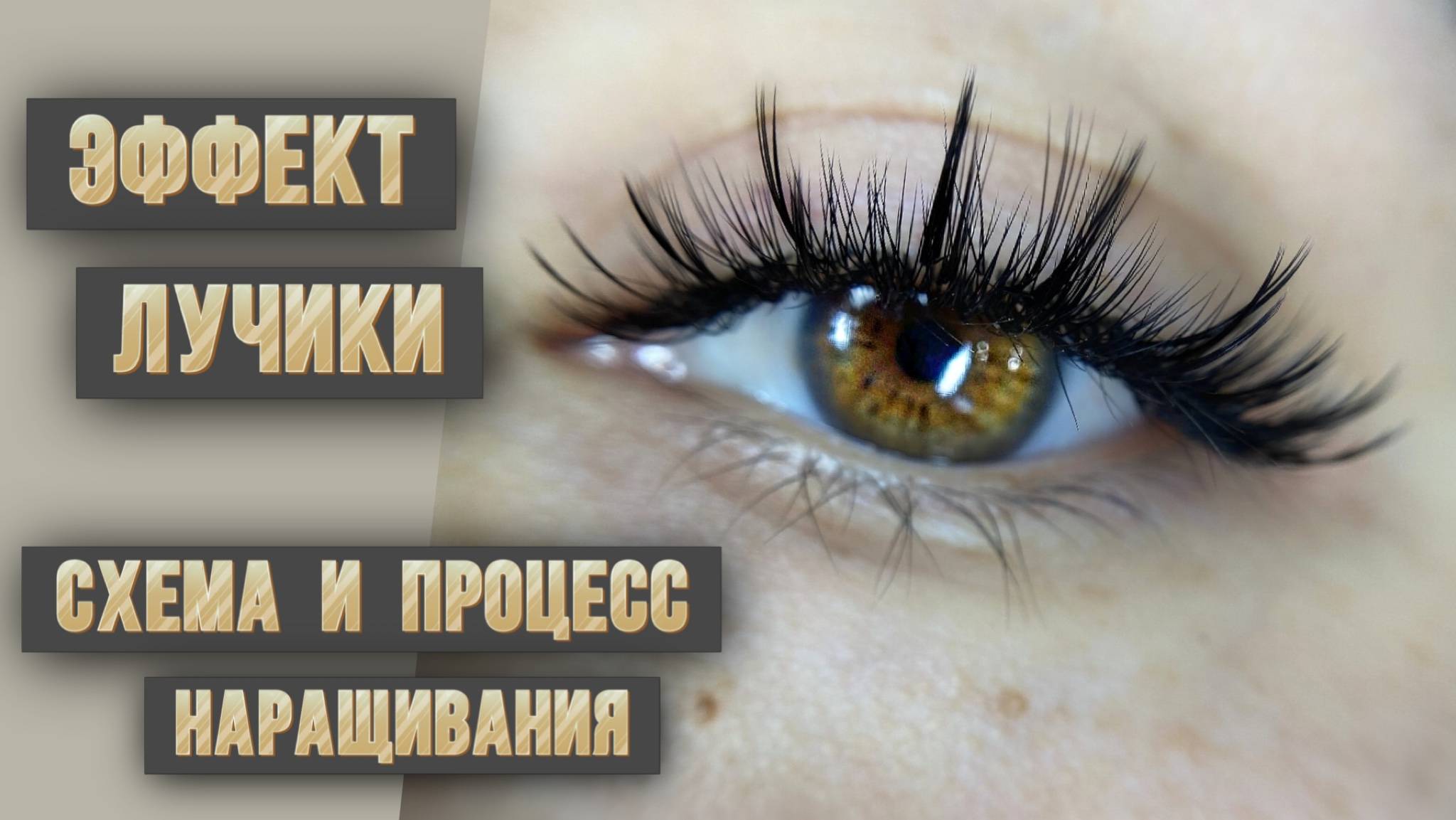 Схема и процесс наращивания ресниц эффекта лучики схемы наращивания для лэшмейкера смотреть онлайн
