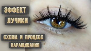 Схема и процесс наращивания ресниц эффекта лучики схемы наращивания для лэшмейкера