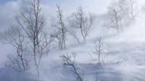 П И Чайковский  Вальс снежных хлопьев