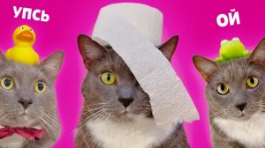 КОТИКИ В ШКОЛЕ - НОВЕНЬКИЙ