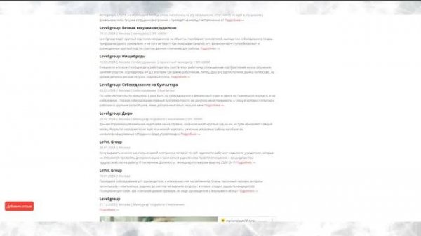 Level group: Отзывы сотрудников. Обзор 2024