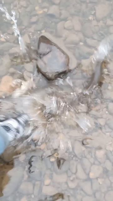 Таймень Рыбалка ловля  Ленка нет ничего прекраснее на